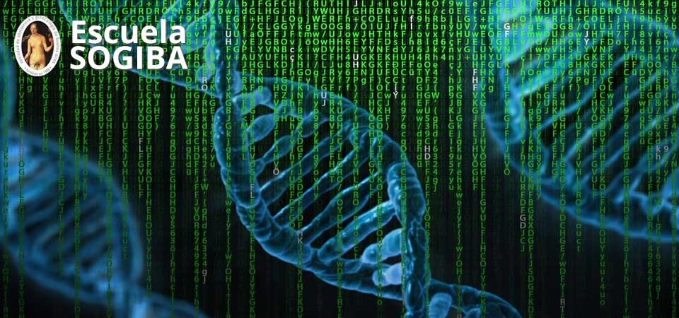 Genética Médica: de los síndromes y las técnicas a lo que debe saber el Tocoginecólogo